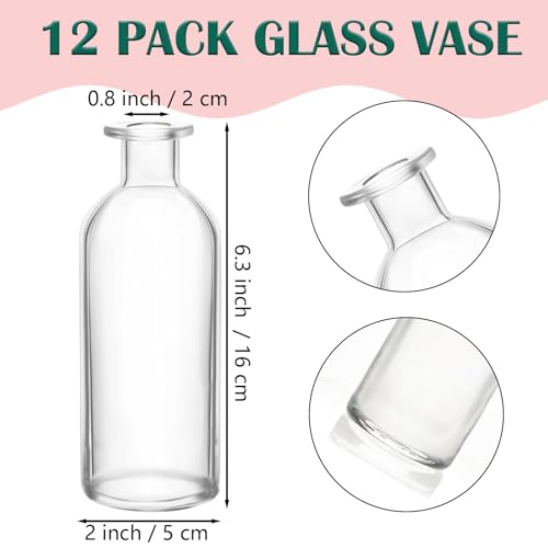 Nexboraque 12 Pack Glass Bud Vases, Clear Small Vases in Bulk Decorative Glass Flower Bottles for Table Centerpiece, Home Decor, Office, Wedding Reception