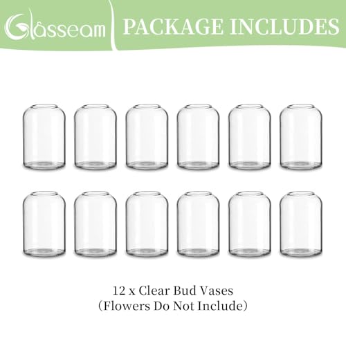 Glasseam Glass Bud Vases for Centerpieces: Clear Small Flower Vase Decor Bulk Set of 12 Simple Modern Decorative Vases for Flowers Mini Candle Vase Wedding Centerpiece for Dining Table Decorations