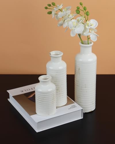 White Ceramic Vase Set of 3 – Ribbed Texture Crackle Glaze Bottle Vases for Rustic Farmhouse Table Centerpiece, Shelf & Mantel Decor - color: White02