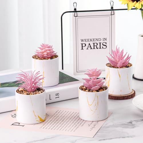 Der Rose Set of 4 Succulents Plants Artificial for Office Desk Accessories for Women Pink Home Decor - color: 4-pink