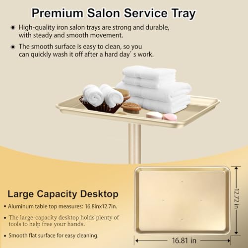 Salon Tray Hairdresser Tray on Wheels Hair Tray for Hair Stylist Gold - color: M-champagne Gold