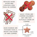 Flower Food Alternative for Fresh Cut Flowers. Copper Charm Keeps Flower Water Clean and Clear. Just Place It in the Vase, Reusable STAR (1) - color: Star, size: Pack of 1