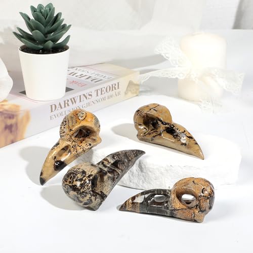mookaitedecor Natural Grass Flower Jasper Stone Raven Skull Figurine, Gothic Raven Statue Animal Carving Sculpture for Collection Home Decor - style: Raven Skull Head