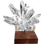 Adjustable Brass Crystal Display Stand with Walnut Base Mineral Specimens Display Stand Rock Display Easel Metal Display Holder for Stones Geodes Fossils Spheres Agate Slices L/Tripod