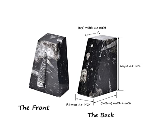 AMOYSTONE 1Pair Heavy Duty Bookend Crystal Quartz Bookends 6-8 LBS Natural Orthoceras Fossil Bookshelf Trapezoid Height 6.2" - color: Black & White B, size: 6-8 Lbs