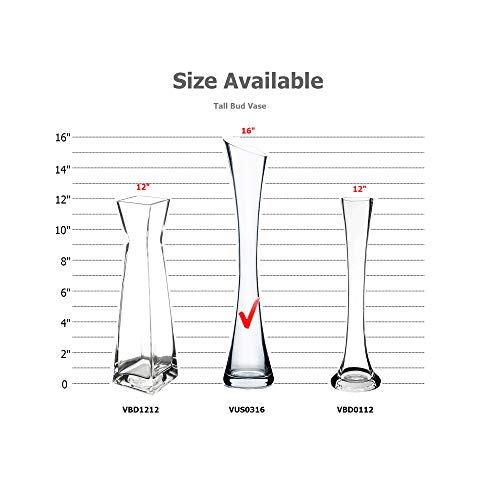 WGV Maria Bud Vase, Width 3", Height 15.75", Clear Tall Slant Cut Opening Gathering Concaved Glass Floral Container Centerpiece for Wedding Party Event Home Office Decor, 1 Piece - size: 3"x16"H Maria
