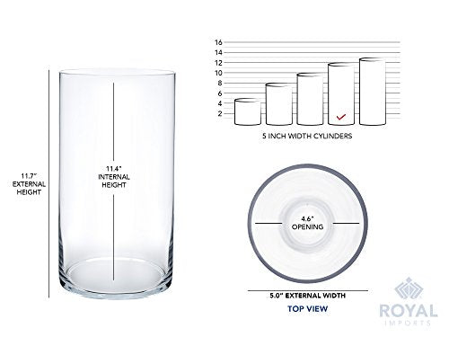 Royal Imports Flower Glass Vase Decorative Centerpiece for Home or Wedding - Cylinder Shape, 12" Tall, 5" Opening, Clear - size: 5" wide x 12" tall