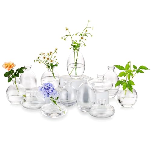 Glass Bud Vase for Centerpieces: 12Pcs Glasseam Clear Mini Small Vases for Flowers Bulk Flower Vase Set Aesthetic Cute Handmade Tiny Short Wedding Table Centerpiece Decor - color: Clear, size: 4 Sets