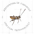 Mechanical Metal DIY 3D Insect Cricke Model Brass Puzzle Kits Puzzle for Adults, Steampunk Electric Mechanical, Assembly DIY Gift Craft Hobby for Men Christmas Decorations(Cricket) - style: Cricket