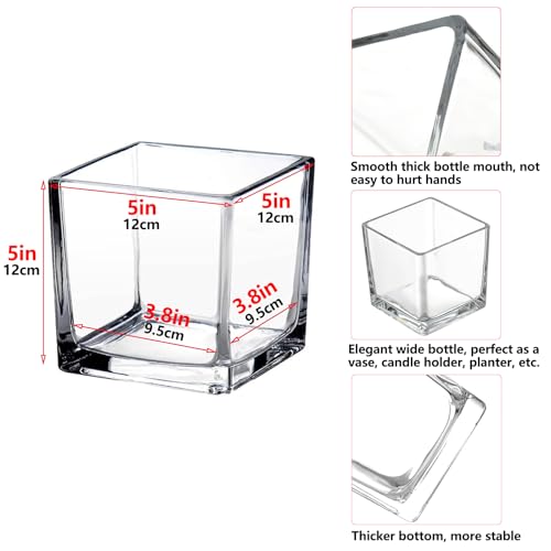 Square Glass Vases Set of 6 – Hewory 5"x5" Clear Cube Flower Vase Candle Holders for Wedding Centerpieces Home Decor Events Party Ceremony (Not Include Flower and Candle)