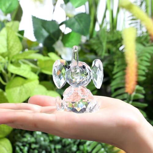 DUQGUHO Crystal Elephant Gifts for Women - Cute White Decor, Glass Figurine, Inspirational Gift for Mom - Home Animal Ornament Statue - color: Clear