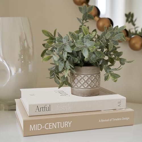 Aesthetic Decorative Books - Set of 2 Stylish Boxes Enhance Your Coffee Table, Bookshelf or Mantel Decor - Beautiful Fake/Faux Books for Modern Home Decoration, Photo Storage and as a Keepsake Box - color: Brown-Beige
