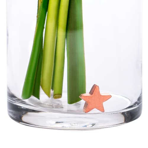 Flower Food Alternative for Fresh Cut Flowers. Copper Charm Keeps Flower Water Clean and Clear. Just Place It in the Vase, Reusable STAR (1) - color: Star, size: Pack of 1