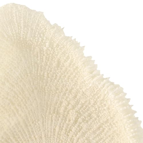 Deco 79 Polystone Coral Decorative Sculpture Abstract Textured Home Decor Statue with Gray Stand and Acrylic Base, Accent Figurine 7" x 5" x 19", Cream - size: 7" x 5" x 19"