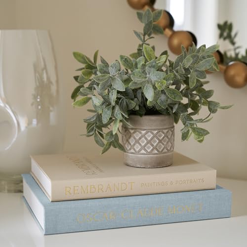 Beautiful Decorative Books - Set of 2 Linen Boxes Enhance Your Coffee Table, Bookshelf or Mantel Decor - Stylish Fake/Faux Books for Modern Home Decoration, Photo Storage and as a Keepsake Box - color: Blue-beige