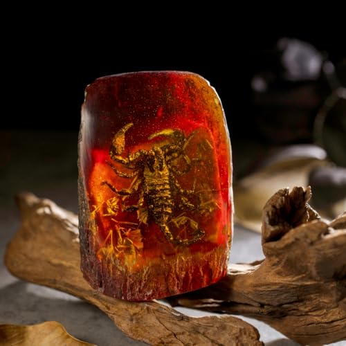 Real Scorpion Specimen in Synthetic Amber - Tree Stump Design, for Science Education, Oddities Collectors, and Nature Enthusiasts - color: Scorpion Specimen (3.94" X 2.76")