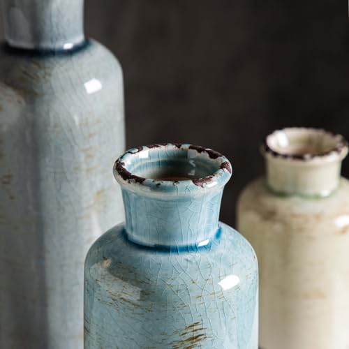 CwlwGO- Ceramic Vase Set of 3, Small Flower Vases for Home Decoration, Modern Farmhouse Decor, Living Room Kitchen Table Centerpieces, Shelf, Mantel, Fireplace and Entrance Decorations-Multicolor. - color: Multicolored