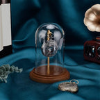 PH PandaHall Pocket Watch Glass Display Dome with Hook 5.7"x4" Watch Display Jar Decorative Watch Case with Base Plants Dome Showcase for Father's Day Pocket Watches Medals Collectibles Ornament - size: 5.7x4 Inch