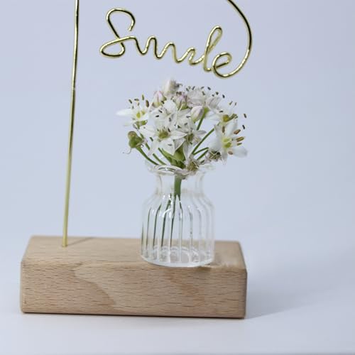 2Pcs Clear Mini Vase, Miniature Vases, Cat Whisker Vase, Miniature Stuff for Tiny Houses Decoration DIY Micro Landscape Items