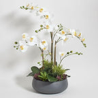 CG Hunter Faux Orchid Plant w/Succulents, Premium Artificial Indoor Flower Display Stands 24” w/Beautiful Sculptural Blooms and Succulents That Lasts Forever, Grey Planter Pot Included - size: 24" White Orchid With Succulents