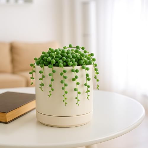 D'vine Dev Set of 4 Small Ceramic Plant Pots, 4.7 Inch Succulent Planter Pot for Plants with Drainage Hole and Saucer, Oatmeal, 94-X-B-8 - color: Oatmeal, size: 4.7 Inch