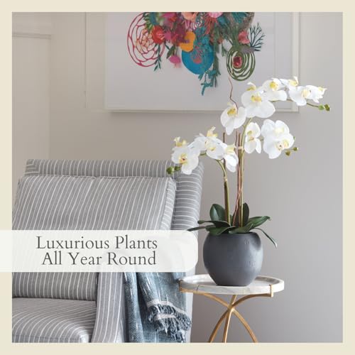 CG Hunter Faux White Orchid Plant, Premium Artificial Indoor Flower Display Stands 25-Inches with Beautiful Sculptural Blooms and Foliage That Lasts Forever, Grey Planter Pot Included - size: 25" White Double Stem
