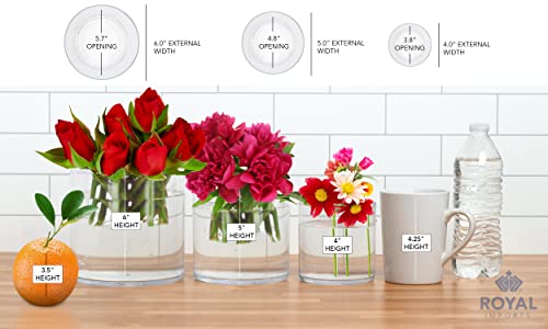 Royal Imports Flower Acrylic Vases Cylinders - Decorative Centerpiece for Home or Wedding - Non Breakable Plastic, 1-Set of 3 Sizes: 4", 5", 6" - Clear - size: 4", 5", 6" - Set of 3