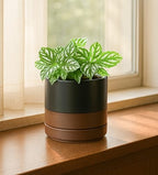 D'vine Dev Set of 2 Plants Pots, 4.7 Inch Ceramic Planter Pot for Plants with Drainage Hole and Saucer, Black/Speckled Tan, 94-V-B-7 - color: Black/Speckled Tan, size: 4.7 Inch