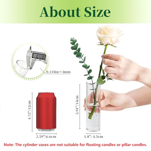 Hewory Cylinder Glass Bud Vases: Set of 12 Small Clear Skinny Single Flower Vase for Centerpieces - Minimalist Bulk Vases for Wedding Birthday Bridal Shower Party Events Table Decor, 5.91"(H)×1.8"(D)