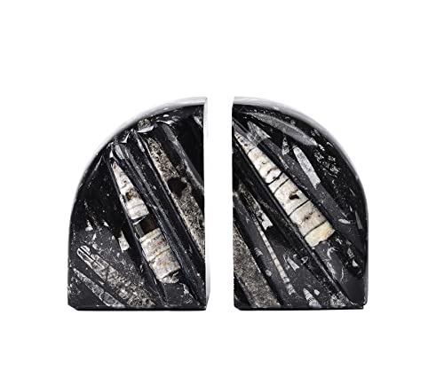 AMOYSTONE 1Pair Unique Decorative Bookends Natural Orthoceras Fossil 4-5 LBS for Kids Books, Home Kitchen, Height 4.7" - color: Black & White C, size: 4-5 Lbs