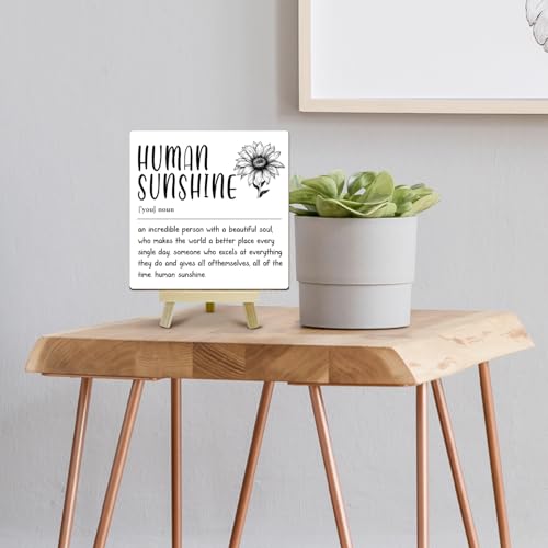 Home Office Decor, Human Sunshine Definition Desk Decor, Employee Appreciation Gifts, Admin Professionals Day Gifts, Teacher Mentor Gifts (MP08) - color: MP08