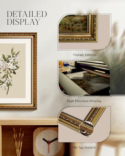 HUARCEY Vintage Floral Illustration Framed Canvas Wall Art 13x16 Inch, Ornate Embossed Gold Frame Classic Botanical Flower Print, Elegant Traditional Living Room Bedroom Office Home Decor - color: Azalea, size: 16"L x 13"W