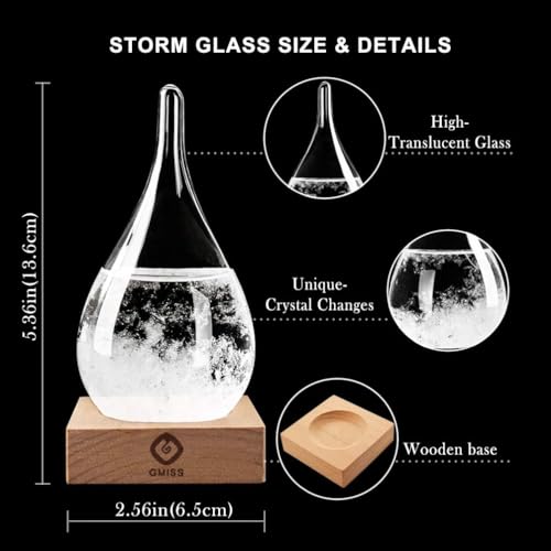 Storm Glass Weather Predictor - Drop-Shaped Forecast Home/Office Desktop Decoration, Christmas Snow Globe for Family Friends Unique Christmas Gifts, Weather Globe Science Decor