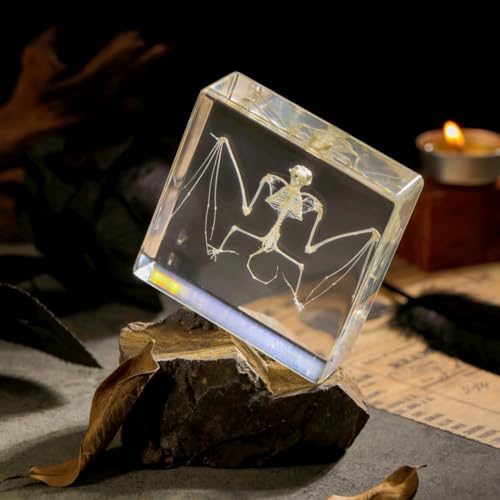 Real Bat Skeleton Specimen in Resin - Authentic Bat Bones for Science Education, Biology Study, Oddities Collectors, and Unique Decor - color: Bat Skeleton Specimen
