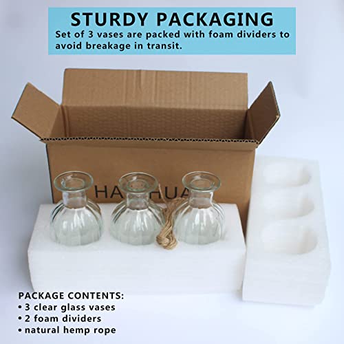 3 Sets Clear Glass Vase for Flowers Small Bud Vase for Decor, Bud Vases in Bulk for Centerpieces, Home Decorative Vase Set Round Vintage Glass Bottles, 2.85"X 5.4" - size: 3 Pcs