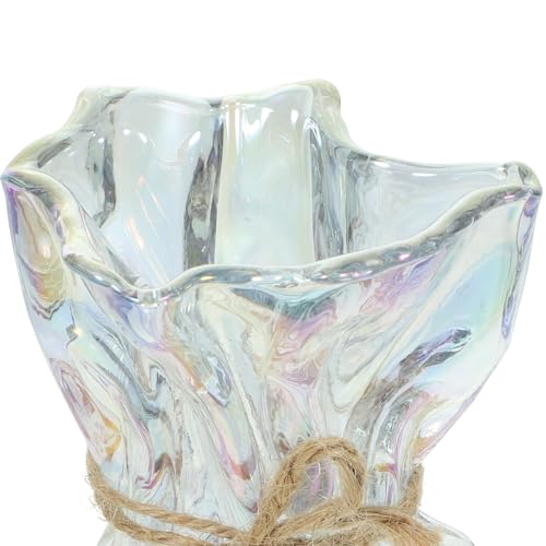 Alipis Abstract Irregular Glass Vase Decorative Flower Holder Hydroponic Floral Arrangement Modern Home Décor Art Centerpiece for Living Room and Office