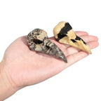 mookaitedecor Natural Grass Flower Jasper Stone Raven Skull Figurine, Gothic Raven Statue Animal Carving Sculpture for Collection Home Decor - style: Raven Skull Head