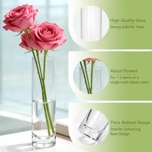 Brajttt 7.48 inch Tall Vases for Flowers,12PCS Glass Cylinder Vase, Single Rose Bud Vase for Event Decor,Bud Vases in Bulk for Wedding Centerpieces,Home Aesthetic Desk Decor, Party Decorations
