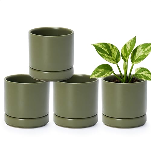D'vine Dev Set of 4 Small Ceramic Plant Pots, 4.7 Inch Succulent Planter Pot for Plants with Drainage Hole and Saucer, Olive, 94-X-B-0 - color: Olive, size: 4.7 Inch