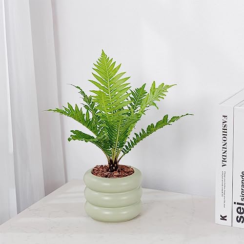 Ceramic Plant Pot Indoor, 4.5 Inch Flower Pot with Drainage Hole, Small Bubble Design Ceramic Planter for Home & Office Decor (Green) - color: S-green, size: 4.7inch