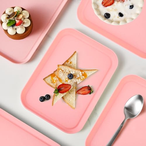 Pink Plastic Serving Platters and Trays,Serving Dishes for Entertaining,Rectangular Platters for Serving Food, Appetizer Serving Trays for Snacks,Charcuterie,Chips,Candy,Fruit,Sushi - color: Tray-s-2pack-pink