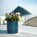 D'vine Dev Set of 4 Small Ceramic Plant Pots, 4.7 Inch Succulent Planter Pot for Plants with Drainage Hole and Saucer, Teal, 94-X-B-9 - color: Teal, size: 4.7 Inch