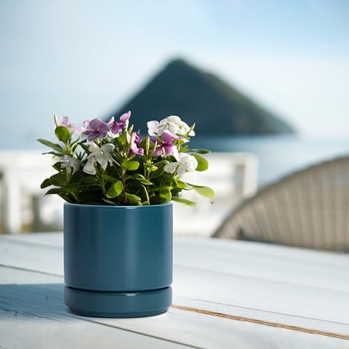 D'vine Dev Set of 2 Plants Pots, 4.7 Inch Ceramic Planter Pot for Plants with Drainage Hole and Saucer, Teal, 94-V-B-9 - color: Teal, size: 4.7 Inch