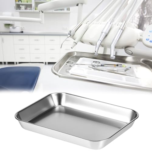 QWORK 2 Pack 304 Stainless Steel Utility Tray for Lab Supplies, Jewelry Tools, 8.6" x 6" x1"