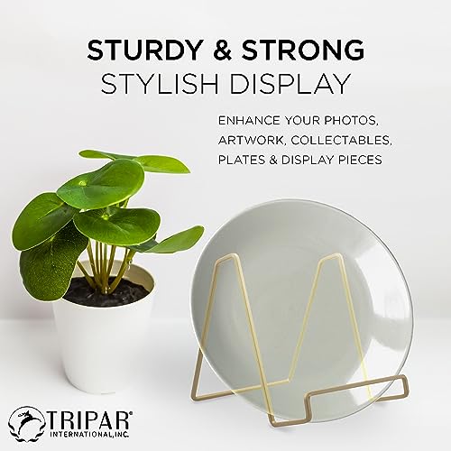 TRIPAR Square Metal Wire Stand, Gold Finish (2 Pack, 6-Inch Depth) - Tabletop Display - Handcrafted Edge Design For Sleek & Modern Look - Perfect for Kitchen Cookbooks, Plates, Photos & More
