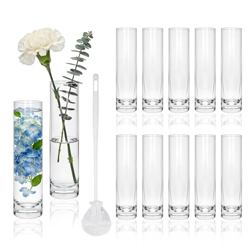 Brajttt 7.48 inch Tall Vases for Flowers,12PCS Glass Cylinder Vase, Single Rose Bud Vase for Event Decor,Bud Vases in Bulk for Wedding Centerpieces,Home Aesthetic Desk Decor, Party Decorations