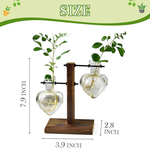XXXFLOWER Plant Terrarium Wooden Stand, Hydroponic Planter Bulb Glass Metal Swivel Holder Retro Air Plants Water Plants for Home Office Decoration,Gifts for Plant Lover Wife Mom- 2 Love Bulb Vase - size: 2 Love Wooden Stand