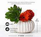 Pots & Patterns 11" Large White Ceramic Flower Vase - Modern Ribbed Low Profile Centerpiece for Dining Table & Home Decor