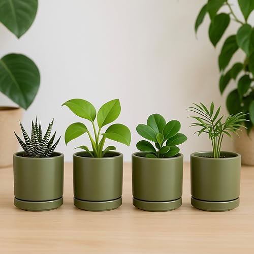 D'vine Dev Set of 2 Plants Pots, 3.5 Inch Ceramic Planter Pot for Plants with Drainage Hole and Saucer, Olive, 94-V-A-J - color: Olive, size: 3.5 Inch