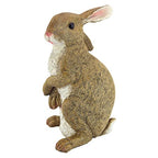 Design Toscano QM200681 Hopper the Bunny Standing Rabbit Indoor/Outdoor Garden Statue, 6 Inches Wide, 11 Inches Tall, Handcast Polyresin, Full Color Finish - style: Hopper